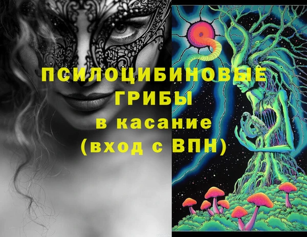 сатива Алзамай