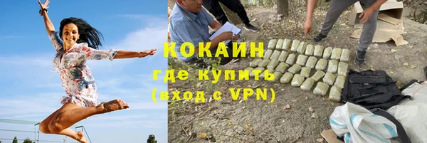 сатива Алзамай