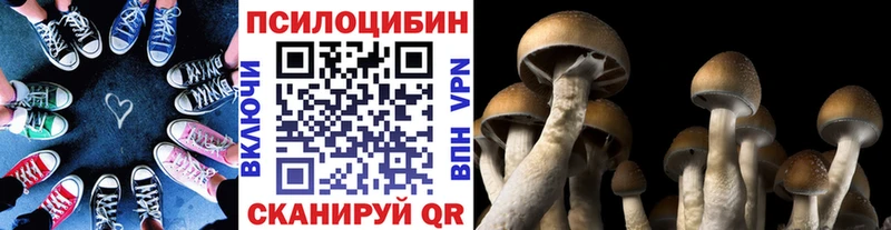 продажа наркотиков  blacksprut ONION  Галлюциногенные грибы мухоморы  Гаврилов Посад 